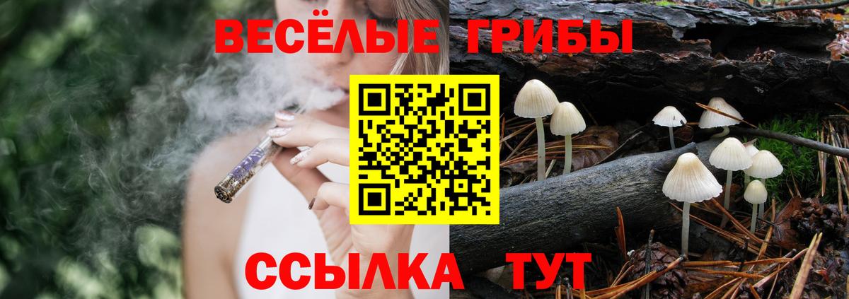 Псилоцибиновые грибы мухоморы  Вход с VPN  Белгород 